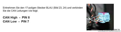 Stecker-blau