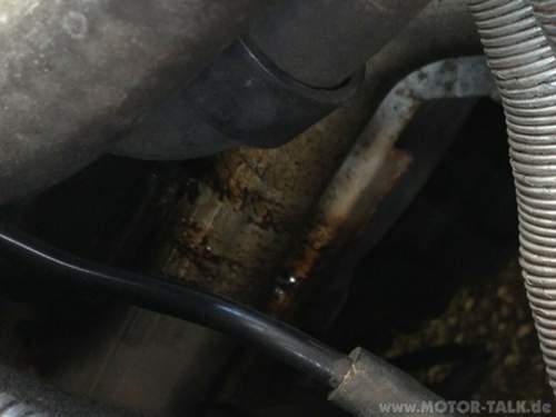 Image-6
