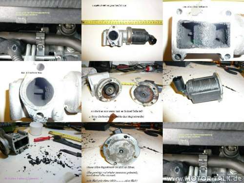 Agr1-1024x768