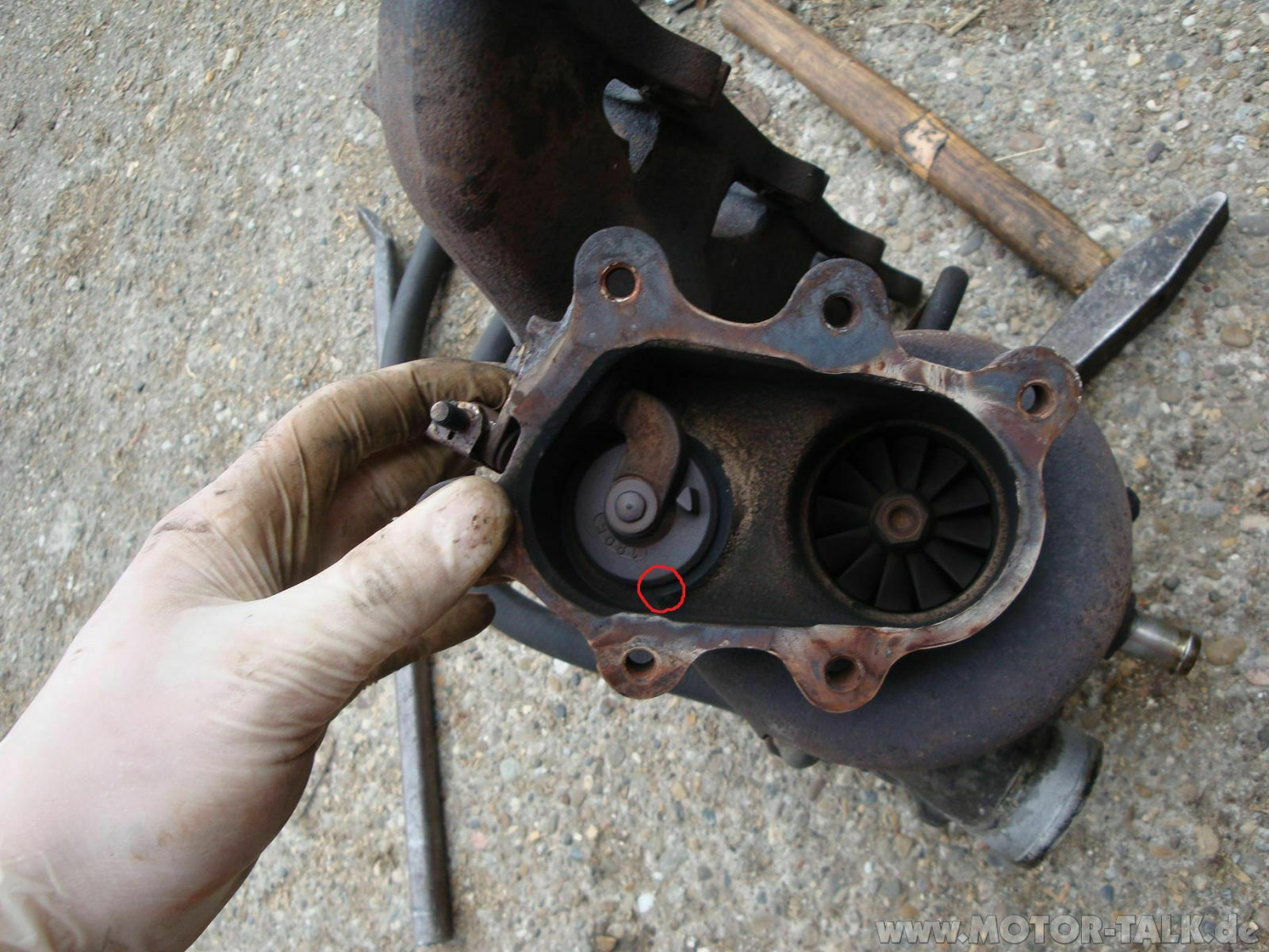 Vectra A V6
