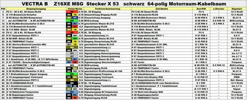 Z16xe-msg-x-53-stecker-pinbelegung