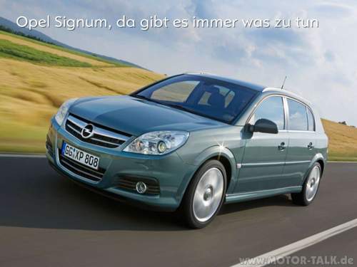 Opel-signum-da-gibt-es-immer-was-zu-tun