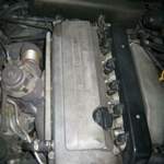Img-2548