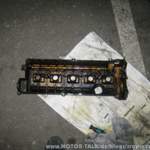 Img-2554