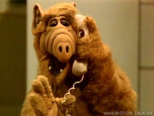 Alf