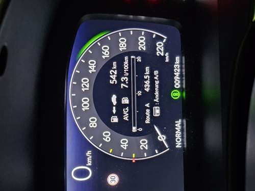 1000033795