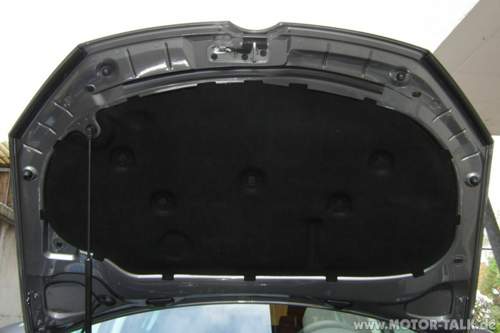 Haube-042009