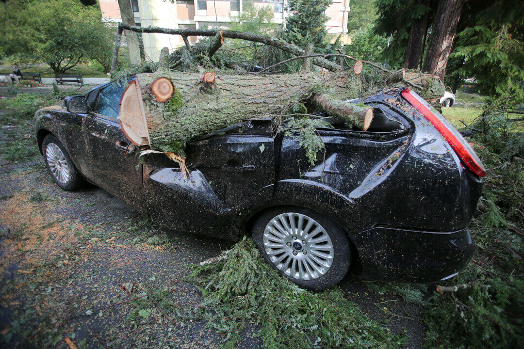 Zwischen Mitte Juni und Anfang August 2013 sorgten drei Unwetter für die größten Schäden (Bild: 11. August in Hessen)
