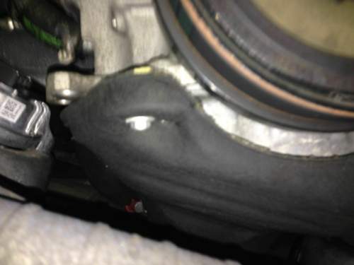 Img-6169