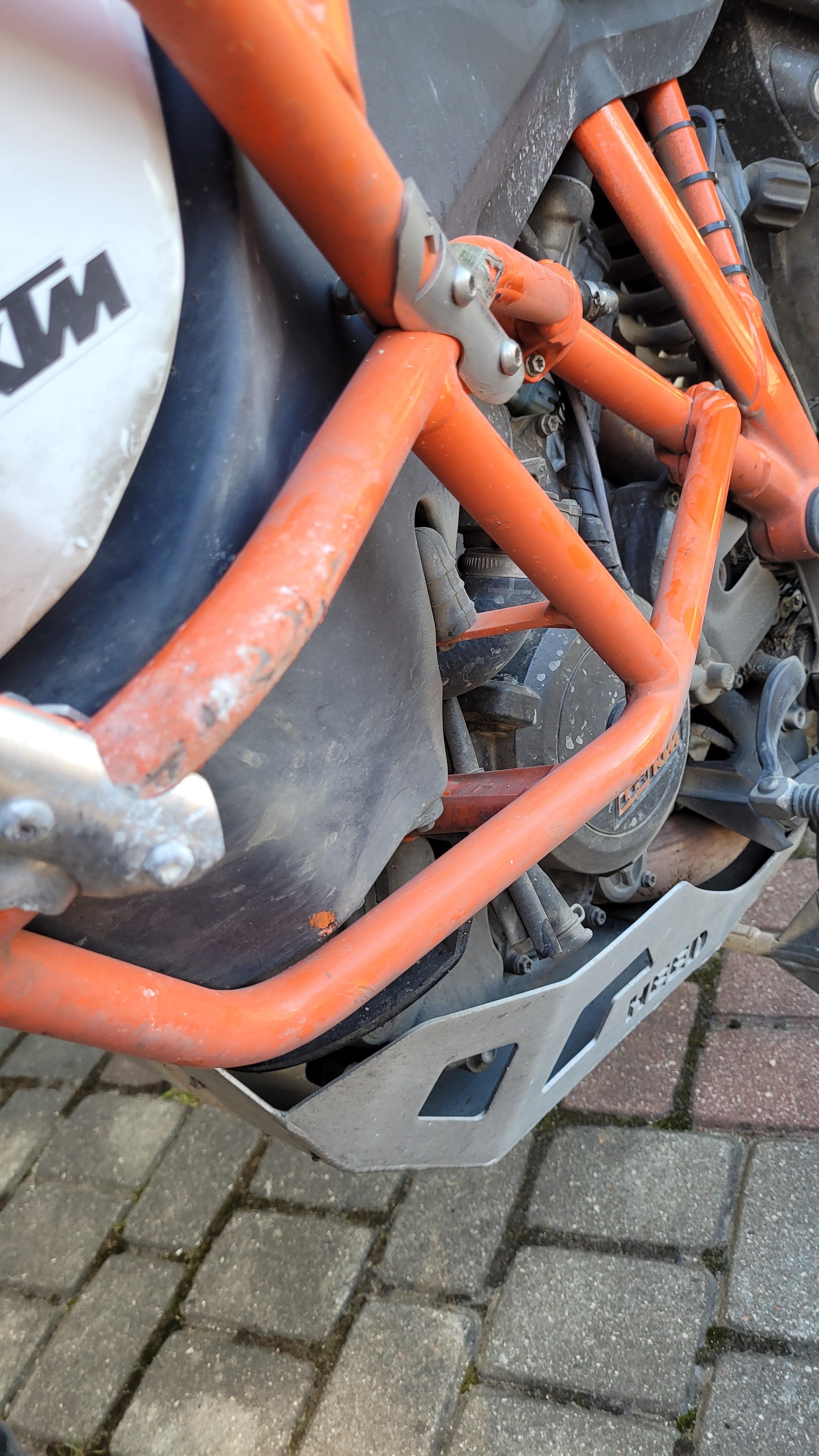 Vielleicht ein dummer Zufall - Tiere und Motorradfahrer