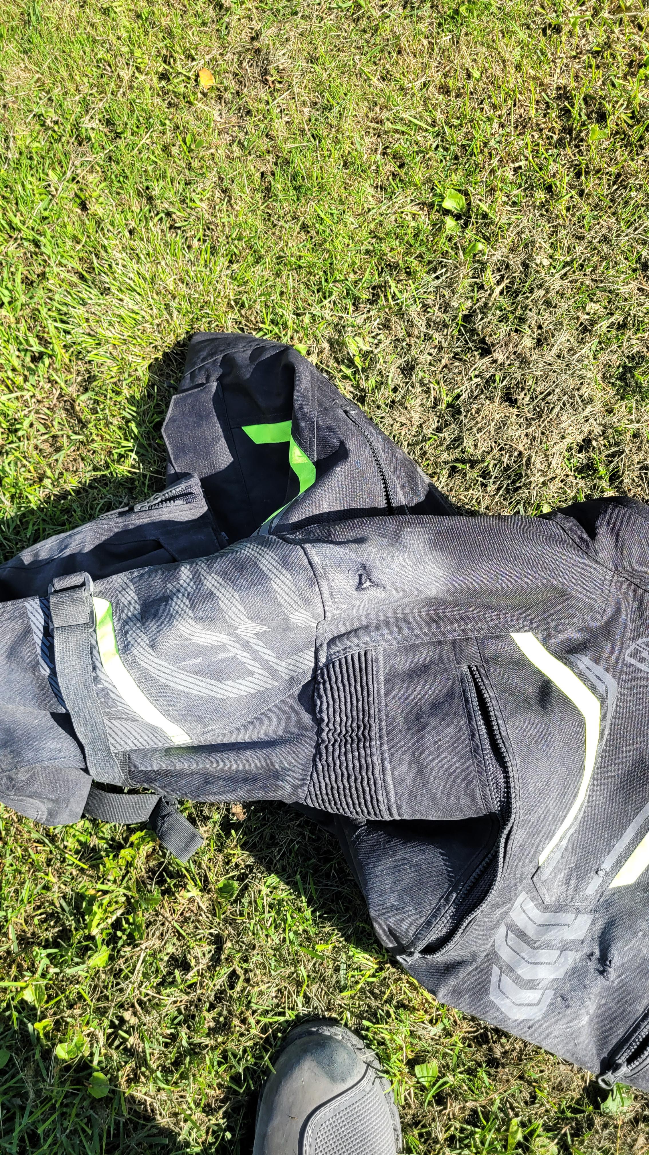 Vielleicht ein dummer Zufall - Tiere und Motorradfahrer
