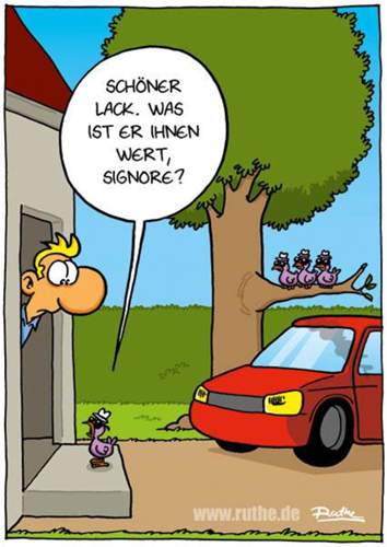Voegel