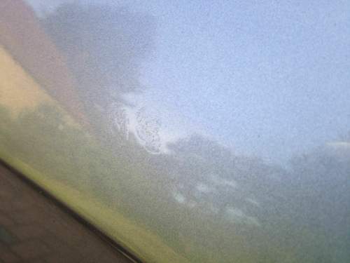 Img-7124
