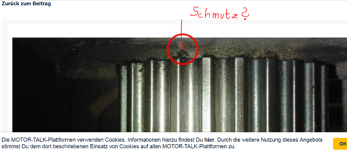Schmutz