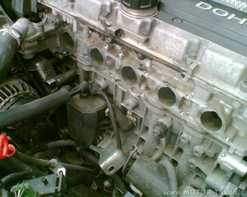 Oelfalle