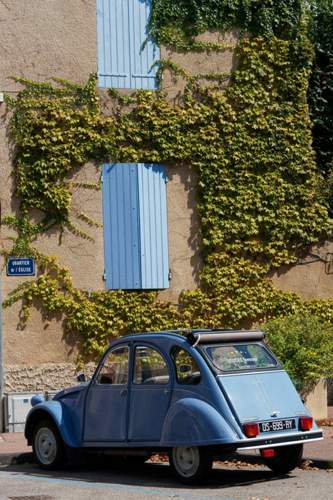 Ente in der Provence