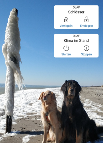 Screenshot-2019-08-13-12-44-50-206-com-miui-home