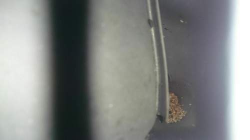Dsc-0495