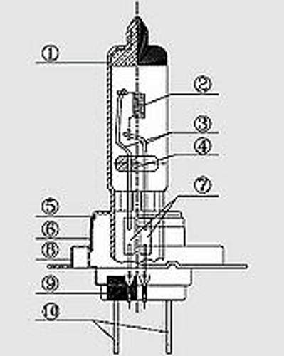 H7-Glühlampe