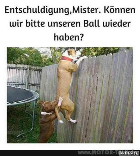 Ball