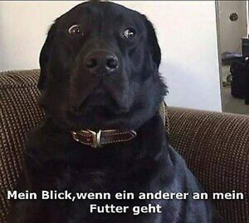 Funpot0000069156-x300-y000