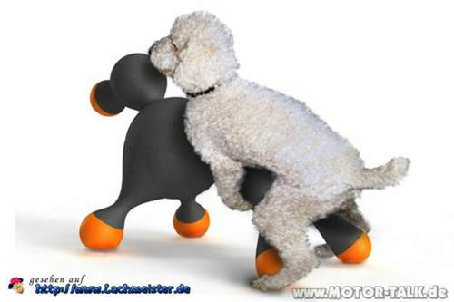 Gummipuppe-fuer-hunde