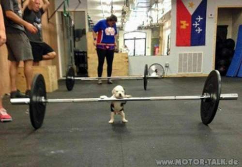 Training