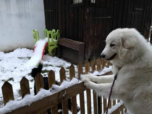Img-20191212
