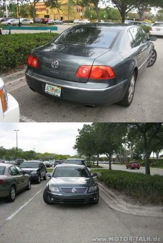 Florida-phaeton