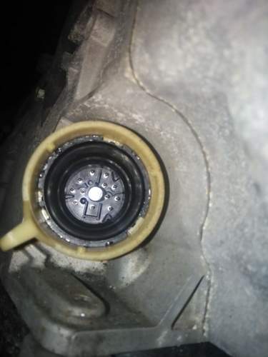 Stecker