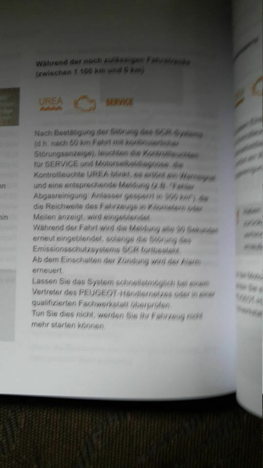 Vorstellung, Vorfreude, Erwartung