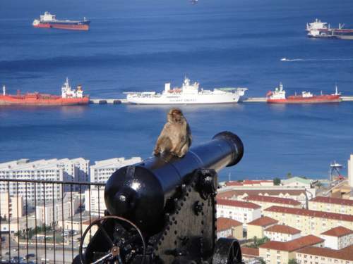 Gibraltar 05.jpg