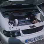 Img-0419