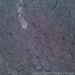 Img-0429