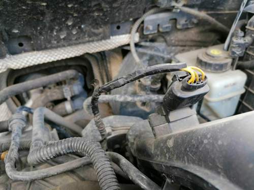 Kabel von Sensor