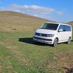 VW T6 SG/SF 2.0 TDI BMT