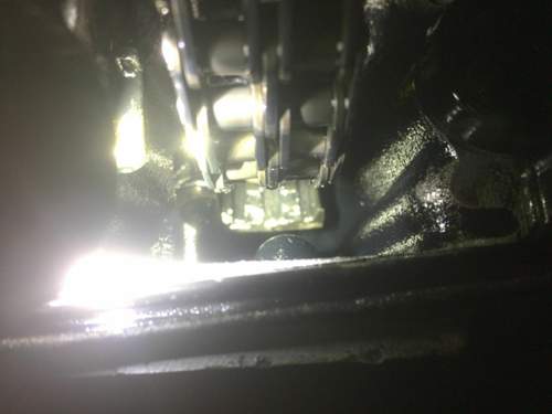 Img-2283