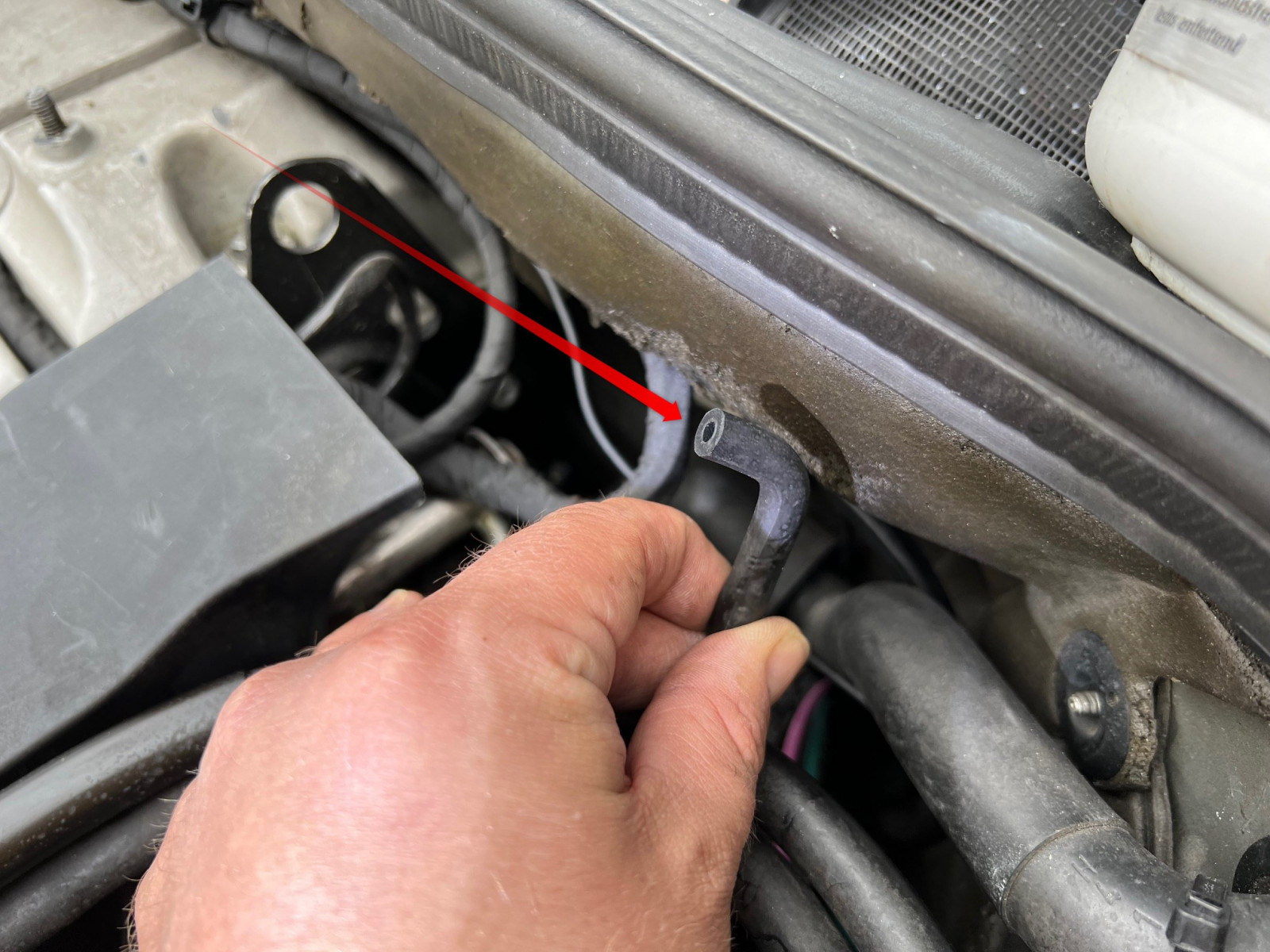 W124 E320 zieht Falschluft?