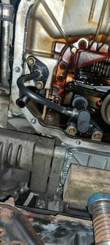 Oelsensor W211 E320 4-Matic.jpg