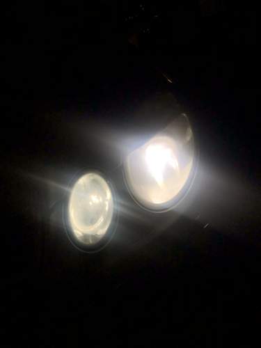 Img-7728