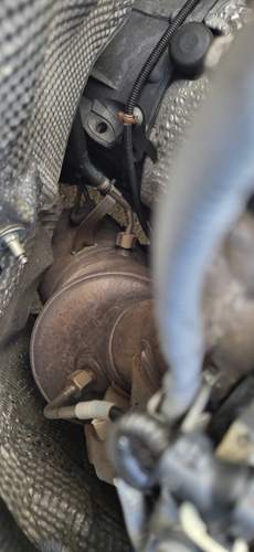 W221 mit OM642 Ansicht DPF von oben