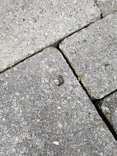 Das abgebrochene Plastikteil mit Fett