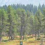 Lombachalp-035
