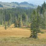 Lombachalp-033