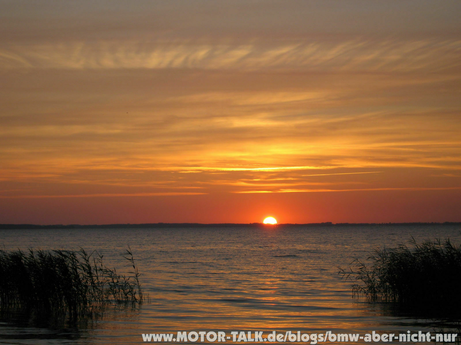 Wann wird es endlich wieder Sommer?