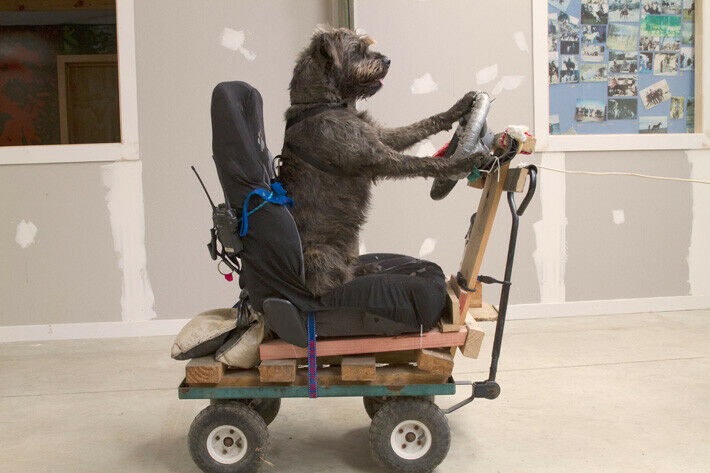 Geübt wurde auf einer Art Kart.