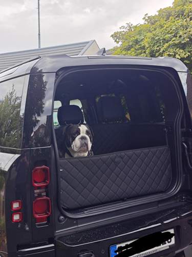Mein Co Pilot