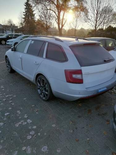 RS frostig2