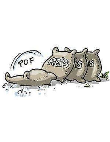 Sack-reis