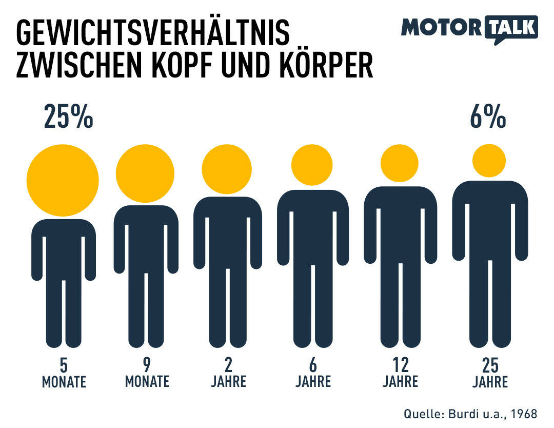 Der Kopf eines Kindes ist im Verhältnis zum Körper viel schwerer als bei einem Erwachsenen. Die Muskulatur des Nackens ist noch nicht sehr ausgeprägt